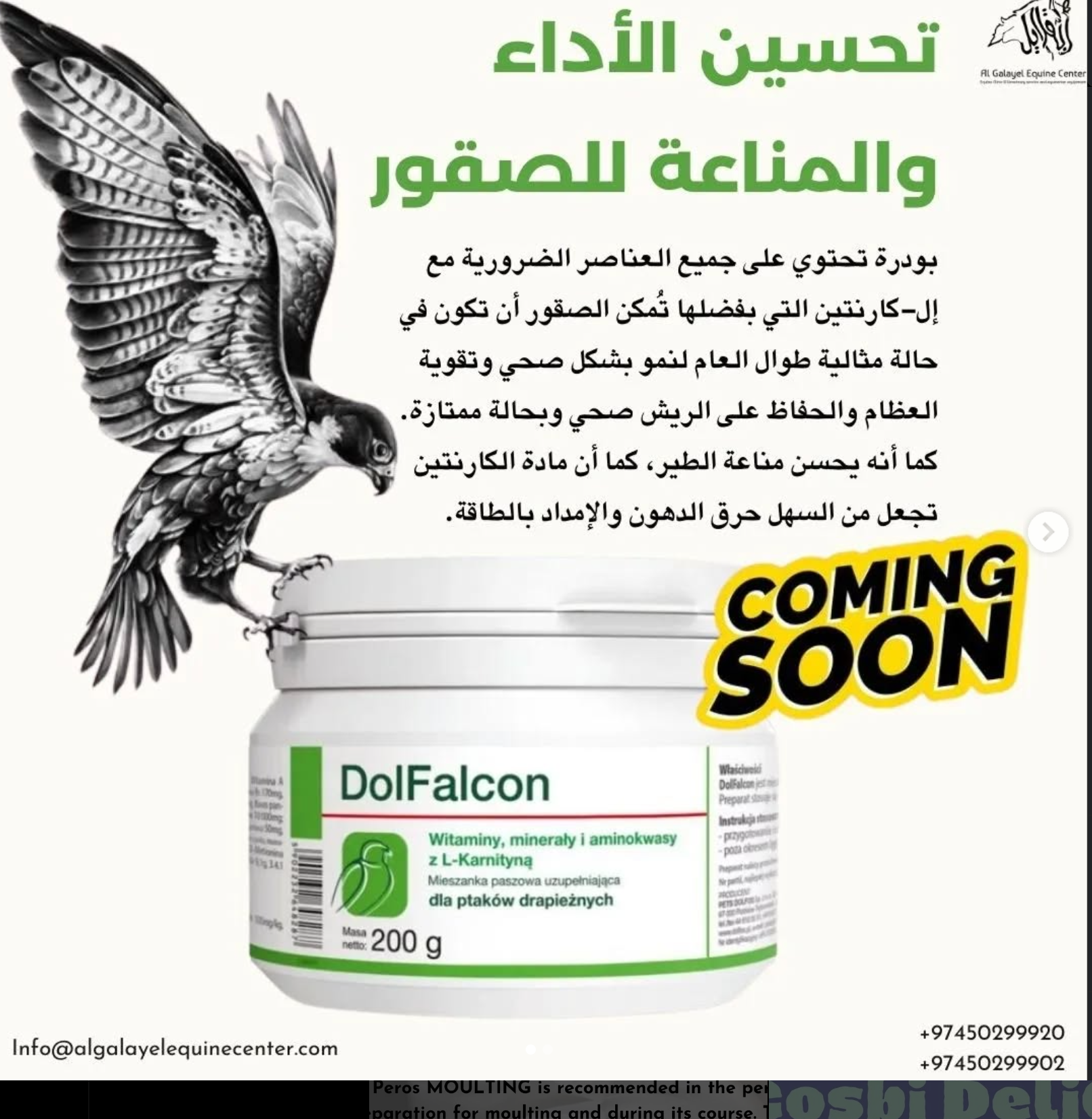 Instagram post from pets